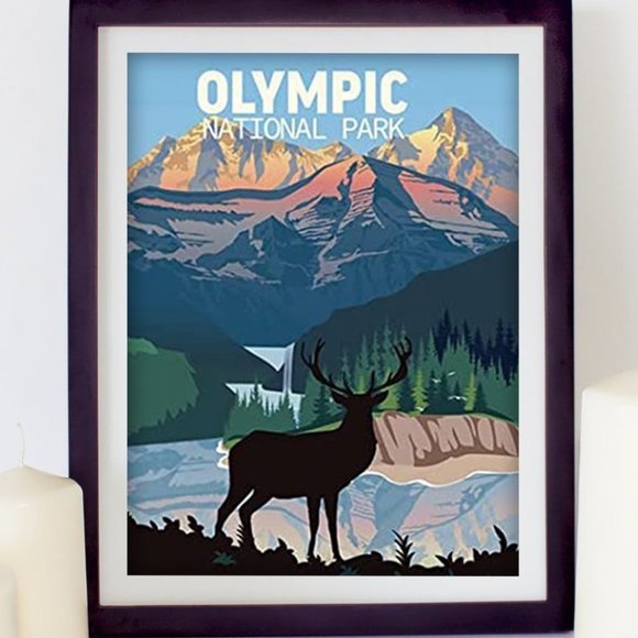 Olympic NATIONAL PARK framed poster - Picture 1 of 4